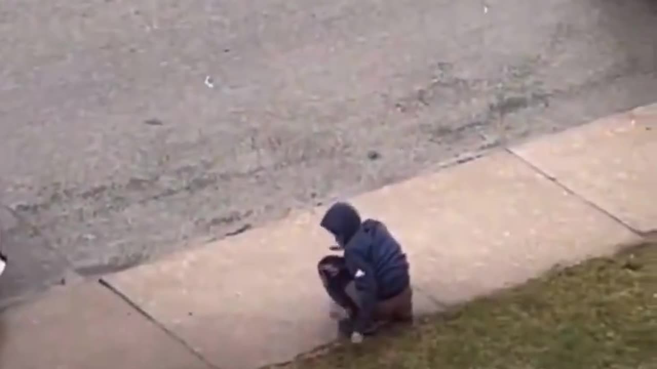 New Canadian Sh*ts / Craps Out In Public On A Lawn In Niagara, Ontario Canada