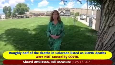 Colorado busted lying about covid deaths