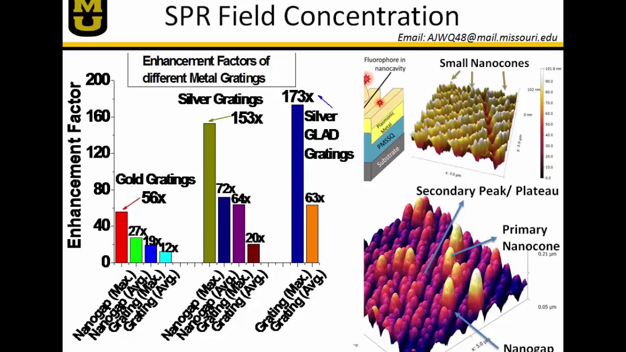 IEEE SENSORS: Enhanced Fluorescence Through the Incorporation of Nanocones/Gaps Into a Plasmonic Gratings Sensor 2021