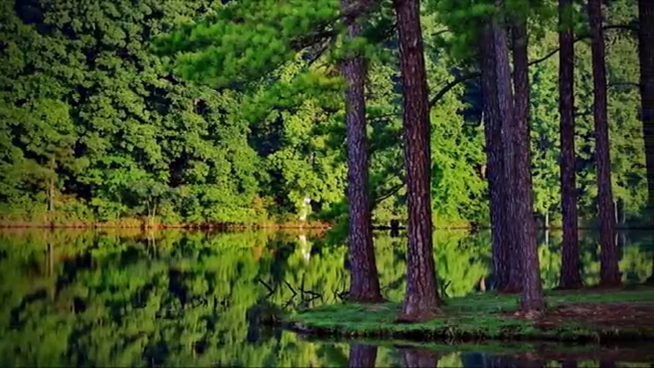 Nature Beautiful short video