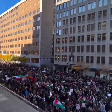 🇨🇦🇵🇸🚨‼️ Over 50,000 people gathered in Montreal