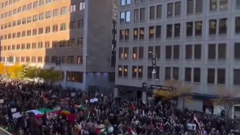 🇨🇦🇵🇸🚨‼️ Over 50,000 people gathered in Montreal