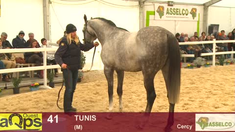voir la fiche détaillée du Haras