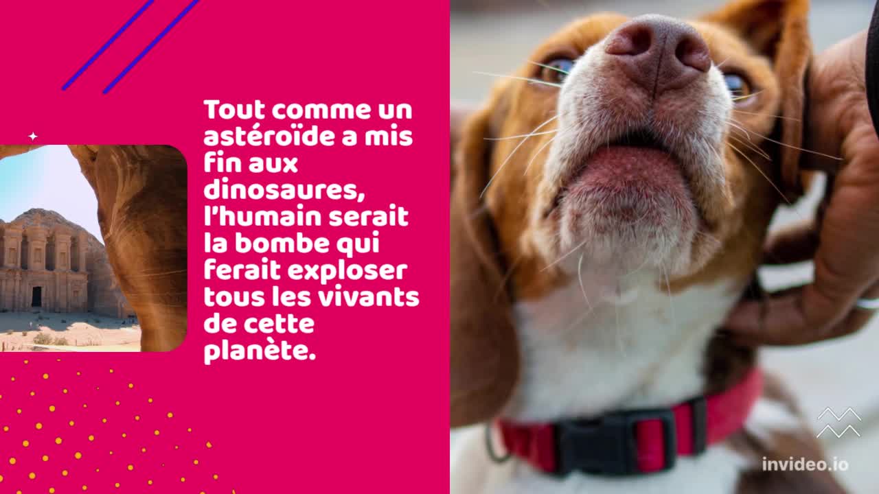 Animal, le docu à voir avec son ado
