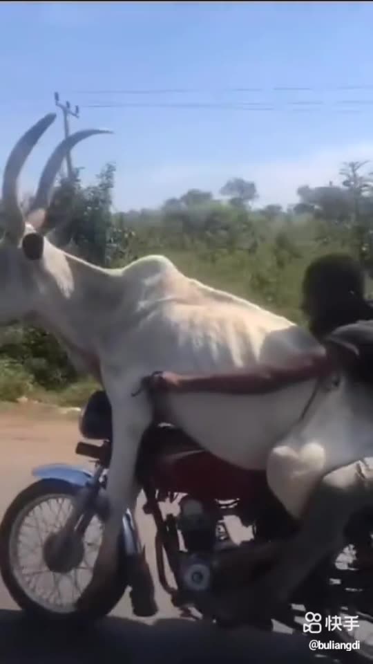 Very funny video #অনেক মজার ভিডিও না দেখলে মিস করবেন