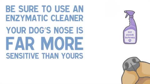 7 things to train a dog to Toilet.