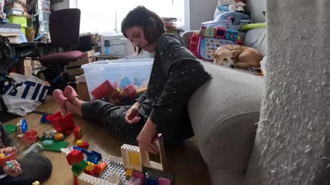 2022-09-21 (1) - Fête à la Maison en LEGO - Twitch Triskelina