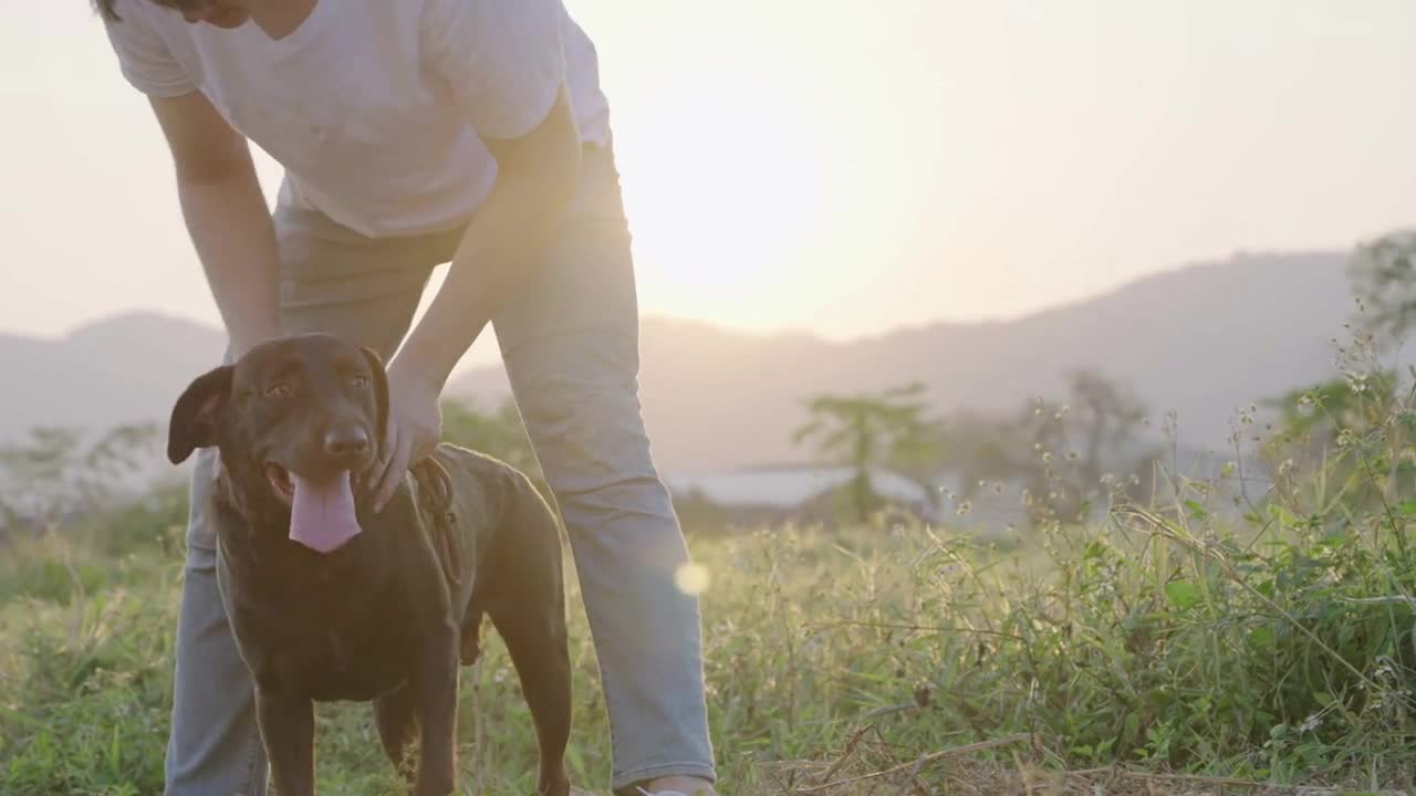 A handsome young adult standing with his dog on rural road with green meadow behind and sunset