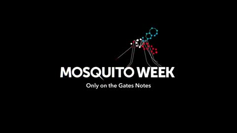 Gates Mosquitos - Massen-Gift-Injektion über Mücken ?