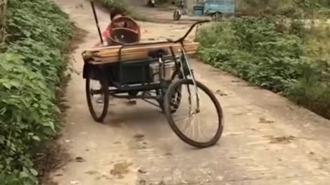 Chain changes funny videos