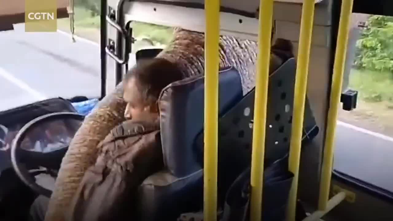 Elephant 🐘 taking food from the bus.