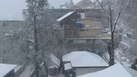Snow fall