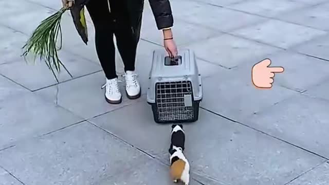 Check out little rabbits