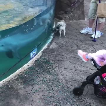 Reuniting with friends and family during the holidays like..