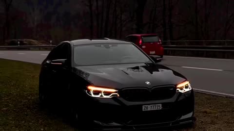 BMW monster