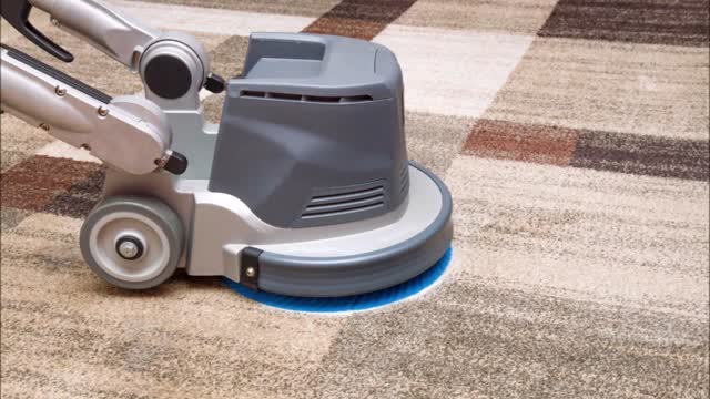 Steam Queen Carpet Cleaning - (226) 444-4582