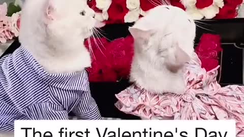 They are going to get married