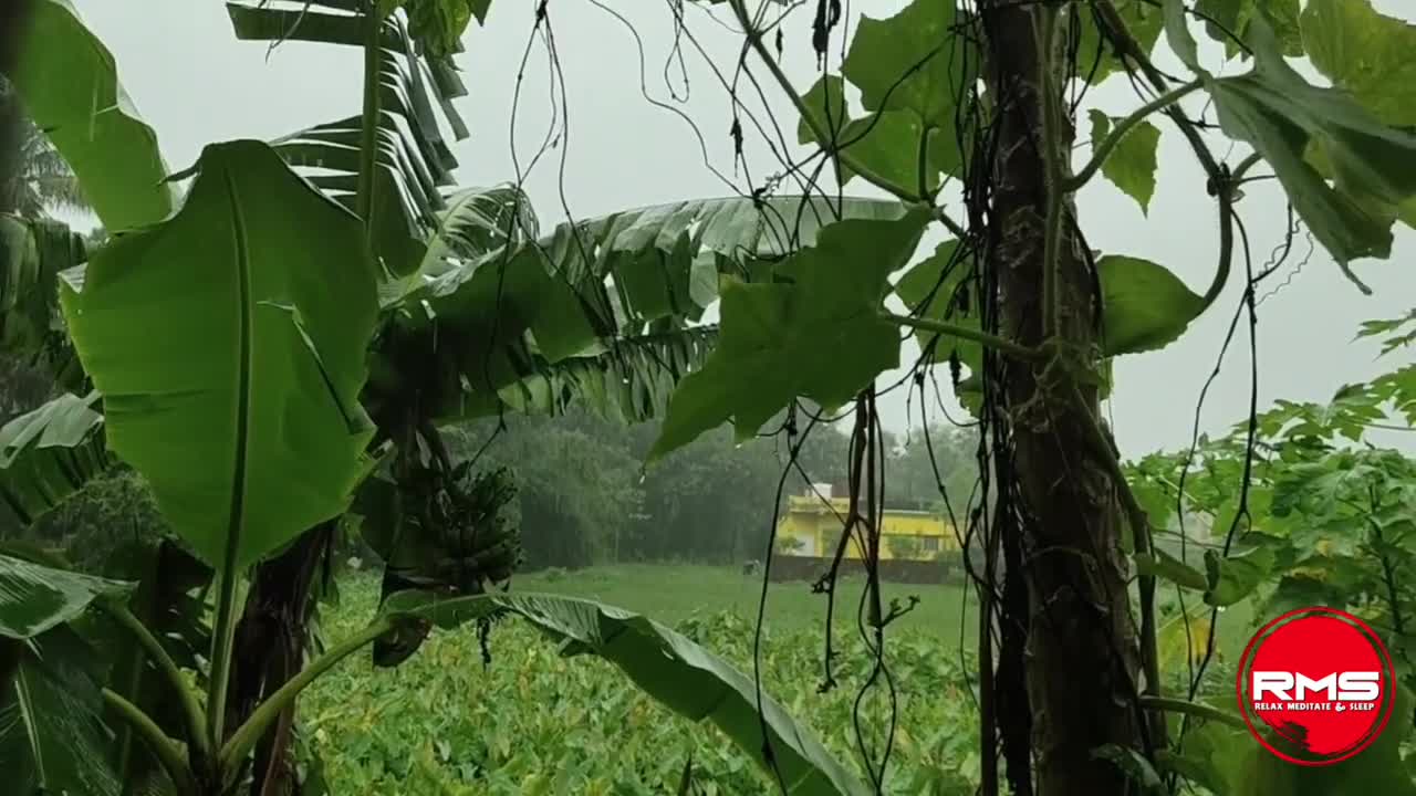 Heavy Rain for sleeping, Rain noise to sleep in 2minutes