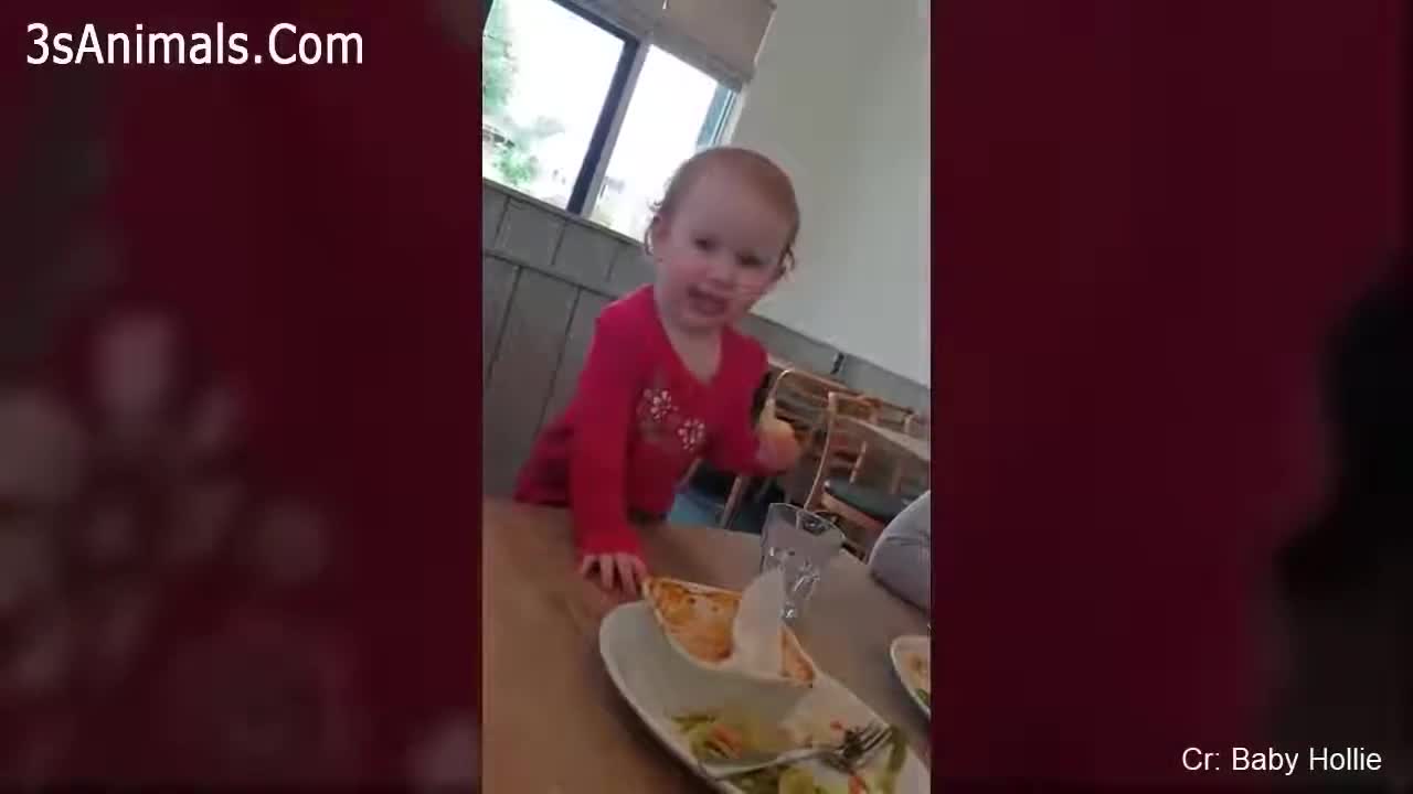 Lemon Eating Reaction Funny Babies