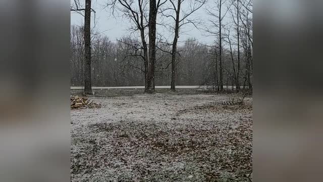 Moments in nature- waiting for snow