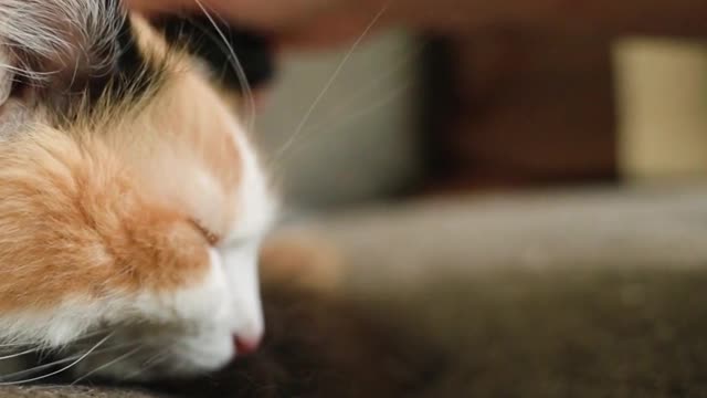 Oh! that's delicious