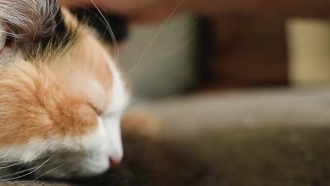 Oh! that's delicious