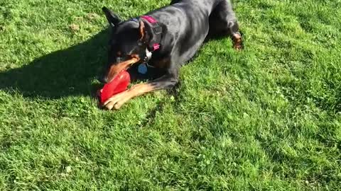 HANZ AT THE PARK 10.2028