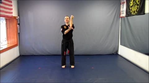 Basic Skillz Red Belt - Orange Stripe