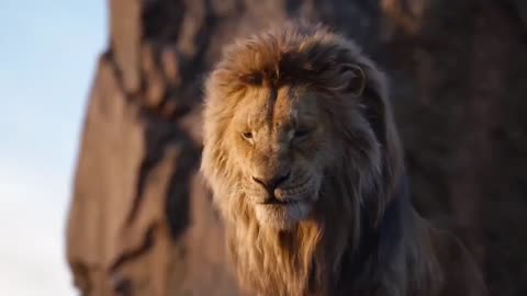 The lion king