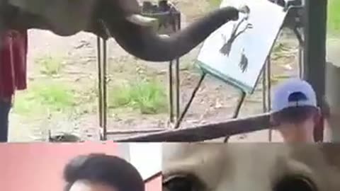This_Elephant_had_Unique_Painting_Skills_and_Became_a_Celebrity_💕_#shorts_#love_#corgi_#cat_#love