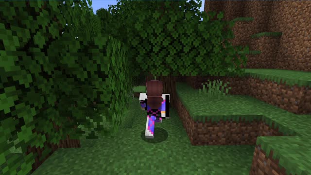 Minecraft1.17.1_Modded 1st outting_2