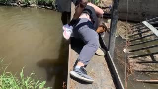 Man Saves Dog Stuck in Sewer Grate