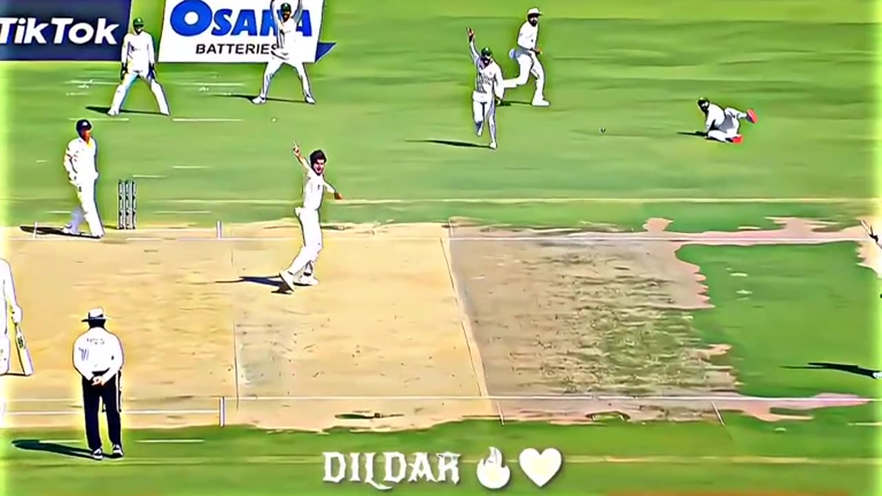 Cricket video