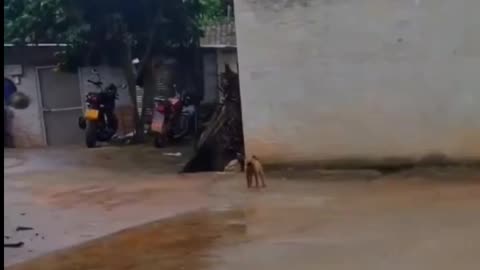 Oscar level acting 🤣🤣🤣