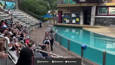 HILARIOUS Tom the Mime (MUST WATCH)
