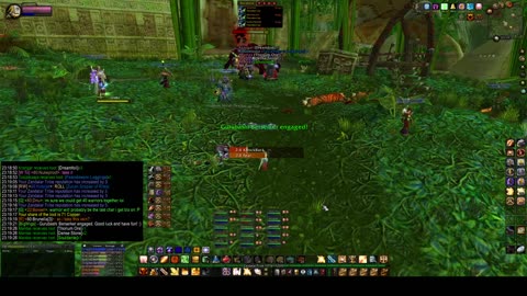 Turtle Wow - PUG ZG run - 6 April - paladin POV