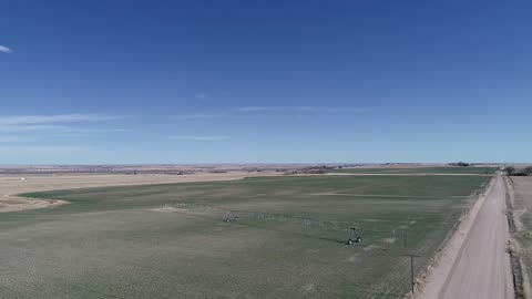 Cattle Drive - to CR24 field - #1