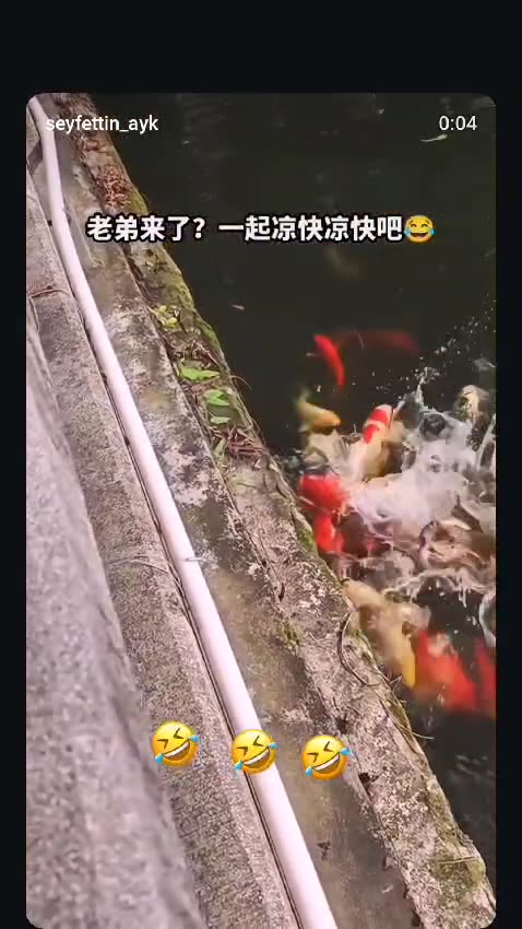 When you're trying to catch fish, but end up doing a flip into the water! 😂🐟