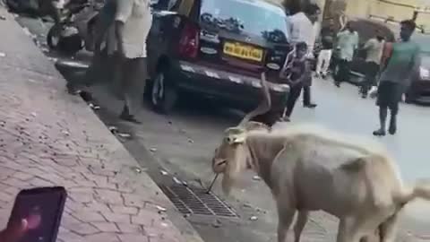 hi and top video