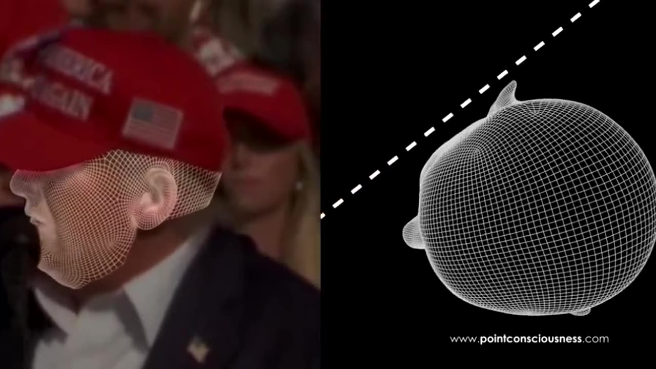 Trump wire frame head tilt animation