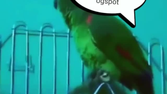 Quando vc esqueceu alguma coisa
