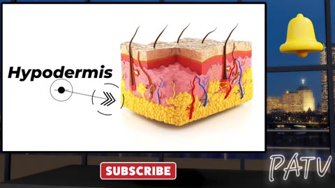 Documentary - The Institute of Human Anatomy Gives Info on What Happens After Being #Tattood 🏴‍☠️