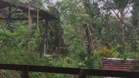 Typhoon Odette (Rai) Philippines