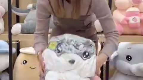 funny video