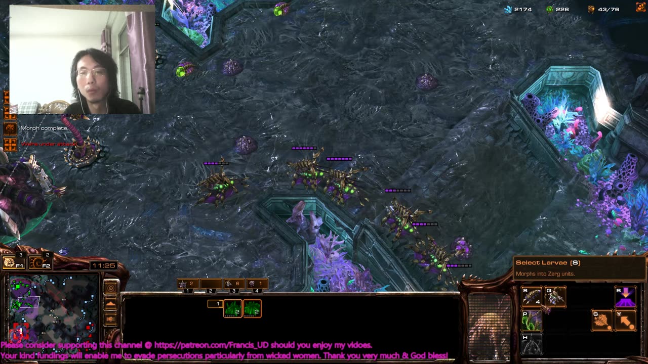 sc2 zvt mismatch on oceanborn ..