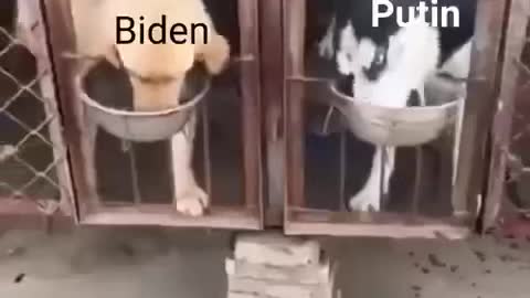 Biden Vs. Putin 😂