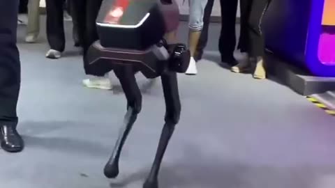 Robot