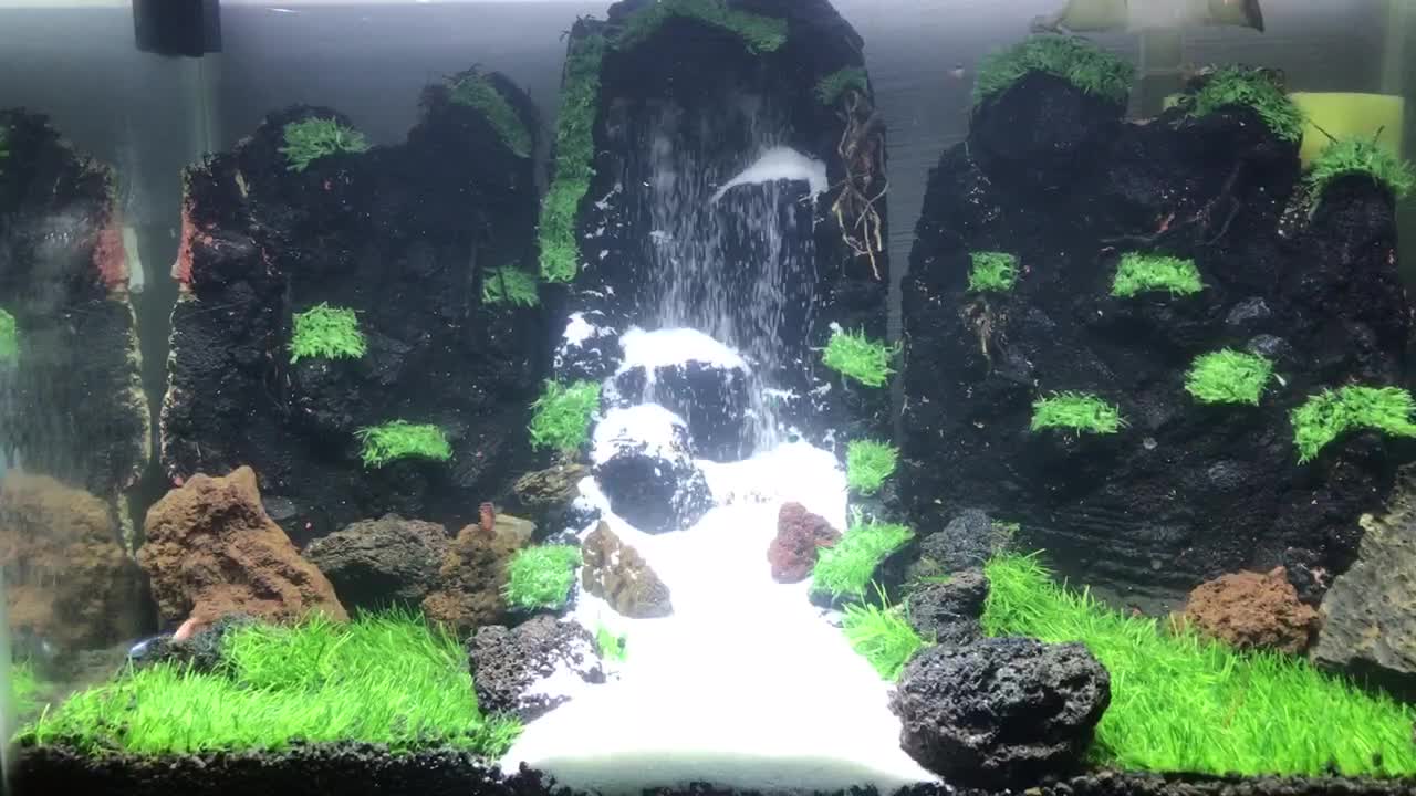 Fish Lullaby music sleeping relax