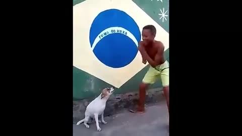 Perro moviendo la cadera