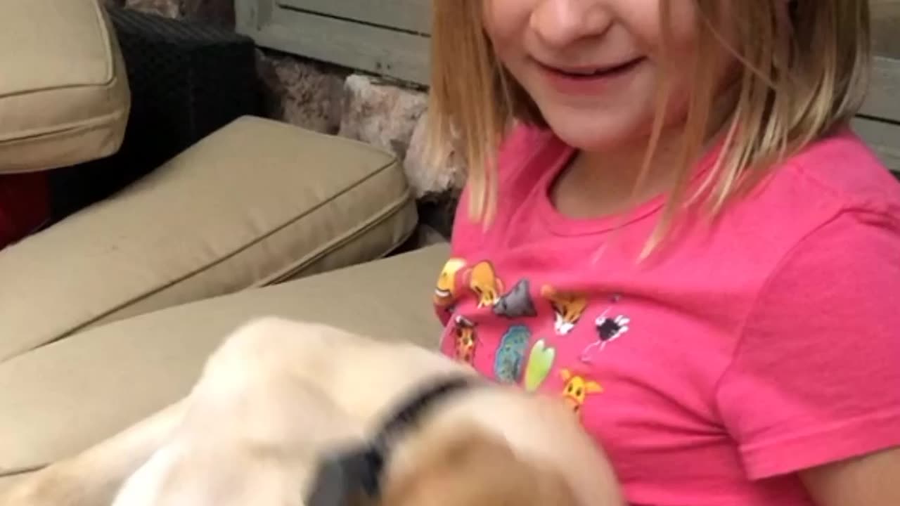 Precious Pupper Sleeps Soundly